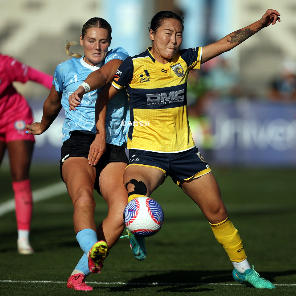 冰岛女足携手荷兰成功晋级女子世界杯四强