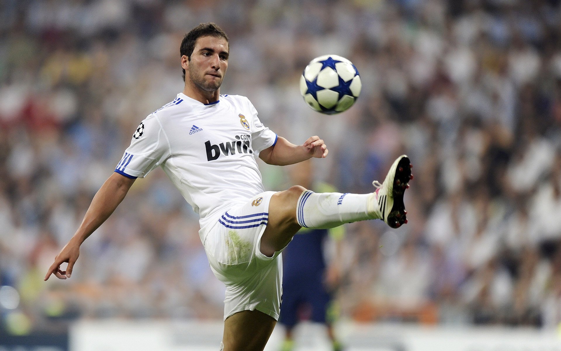 绿茵场上的救赎，拉亚一扑定乾坤，伊拉克力克威尔士启示录