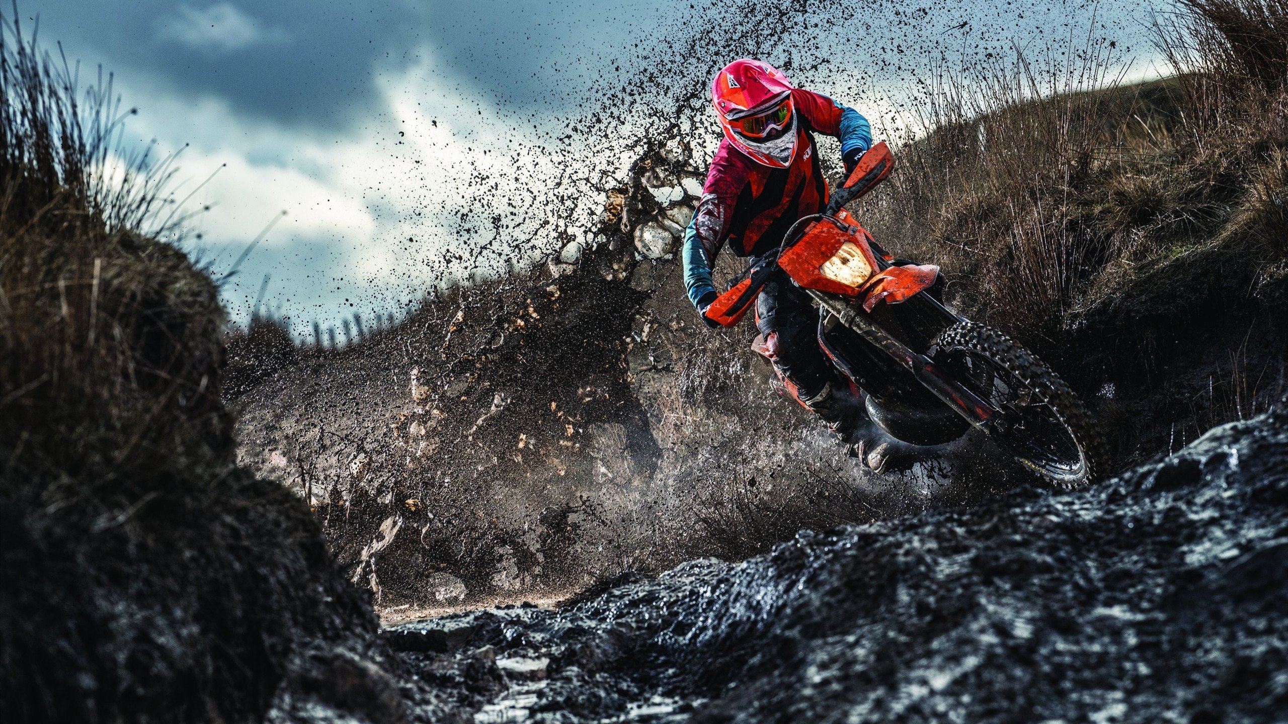 西决生死战之夜,塔图姆关键回合不手软